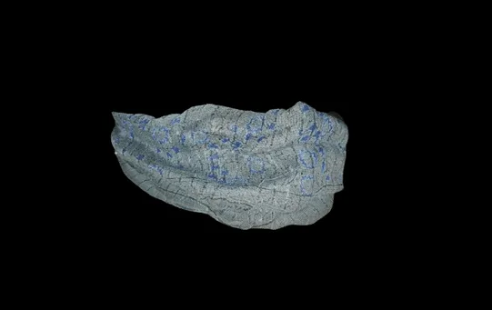 Fascia capelli azzurra